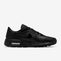 Чоловічі кросівки Nike Air Max Sc LEA DH9636-001 - фото 2