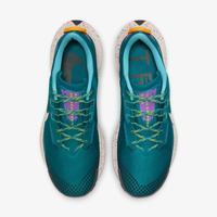 Чоловічі кросівки Nike PEGASUS TRAIL 3 DA8697-300 - фото 6