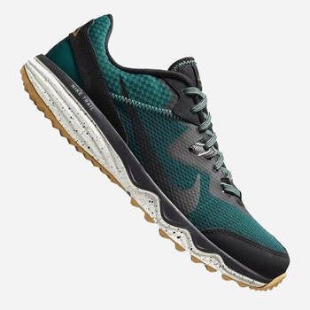 Фото Чоловічі кросівки Nike JUNIPER TRAIL CW3808-302