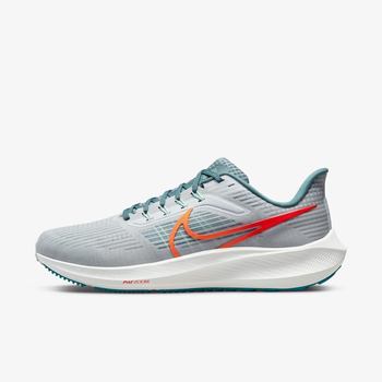 Фото Чоловічі кросівки Nike AIR ZOOM PEGASUS 39 DH4071-003