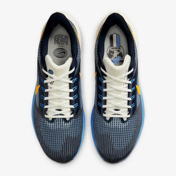 Фото Чоловічі кросівки Nike AIR ZOOM PEGASUS 39 PRM DO9580-400