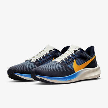 Фото Чоловічі кросівки Nike AIR ZOOM PEGASUS 39 PRM DO9580-400