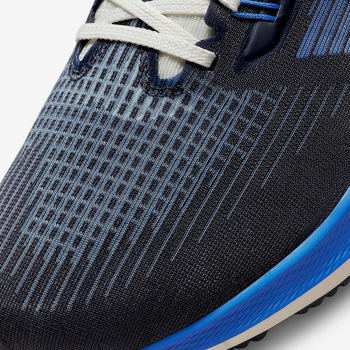 Фото Чоловічі кросівки Nike AIR ZOOM PEGASUS 39 PRM DO9580-400
