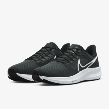 Фото Чоловічі кросівки Nike AIR ZOOM PEGASUS 39 DH4071-001