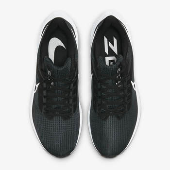 Фото Чоловічі кросівки Nike AIR ZOOM PEGASUS 39 DH4071-001