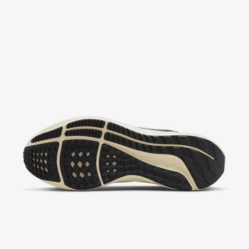 Фото Чоловічі кросівки Nike AIR ZOOM PEGASUS 39 DH4071-301