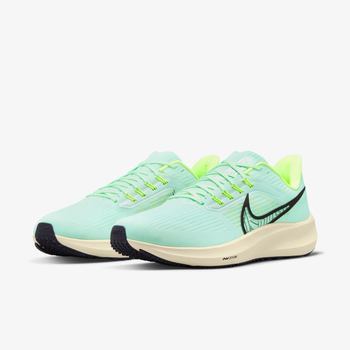 Фото Чоловічі кросівки Nike AIR ZOOM PEGASUS 39 DH4071-301
