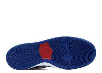 Фото Кросівки чоловічі Nike Dunk Low Pro Ishod Wair (819674-416)